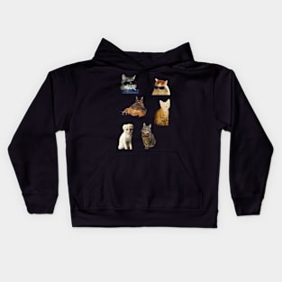 Funny Cats Kids Hoodie